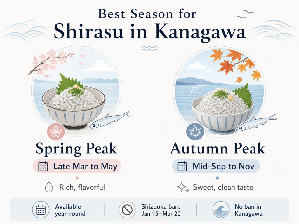 Best Season for Shirasu in Kanagawa