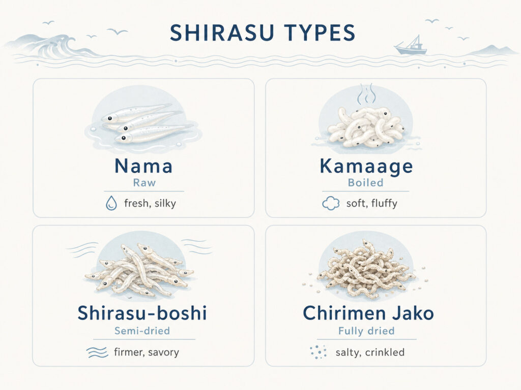Types of Shirasu: Nama, Kamaage, Shirasu-boshi, and Chirimen