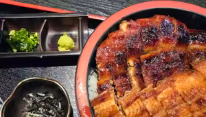 Anguila a la parrilla sobre arroz (ひつまぶし) hitsumabushi