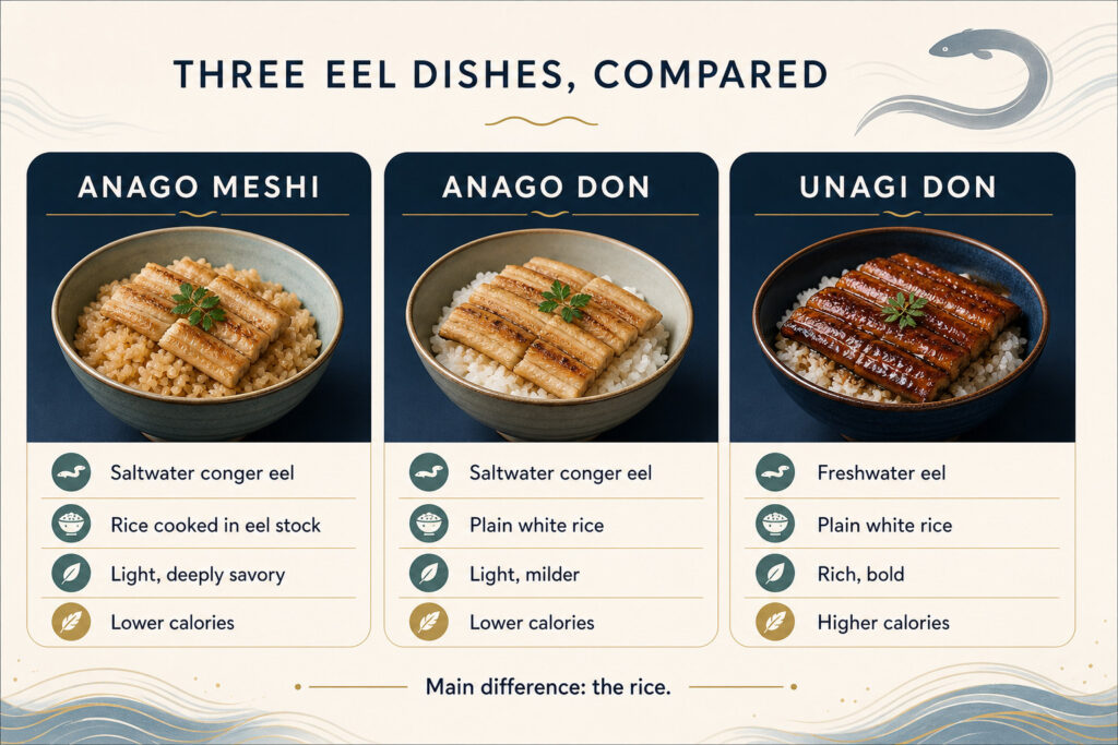 Anago Meshi vs Anago Don vs Unagi Don