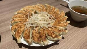 hamamatsu gyoza