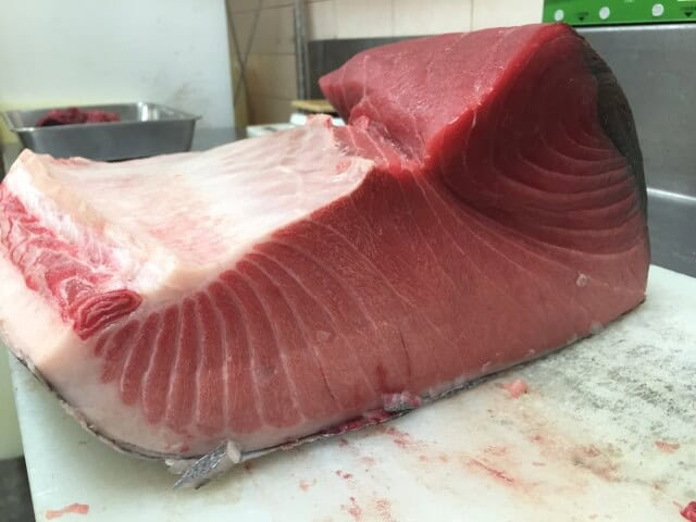 Ooma tuna (大間マグロ)