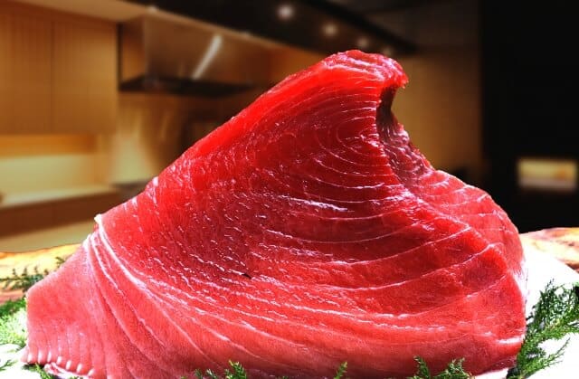 Ooma tuna (大間マグロ)