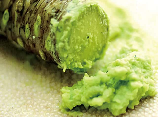 Wasabi