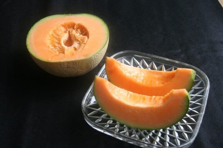 Yuubari Melon King melon from Hokkaido, Japan