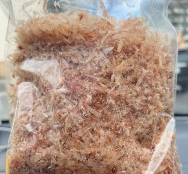 Katsuobushi鰹節