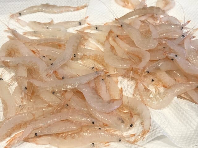 White shrimp (白エビ)