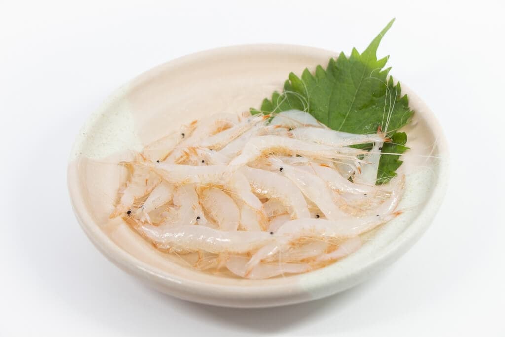 White shrimp (白エビ)