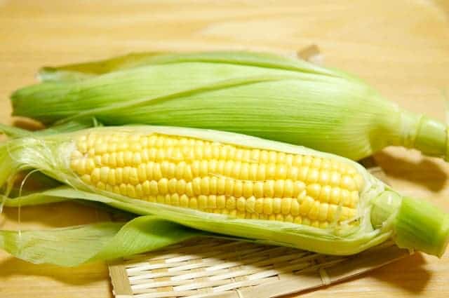 Hokkaido corn from farm