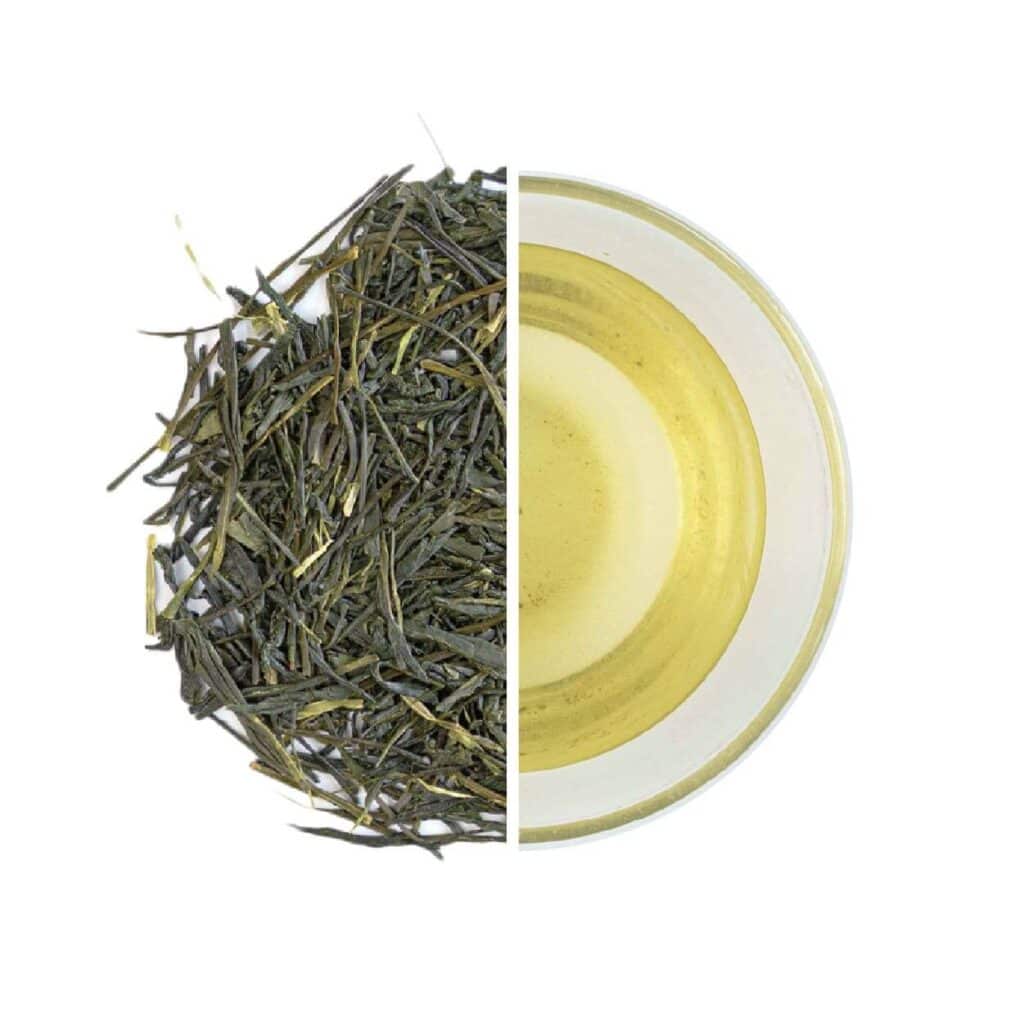 sencha type of ryokucha