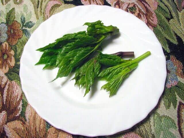 Ashitaba leaves steamed