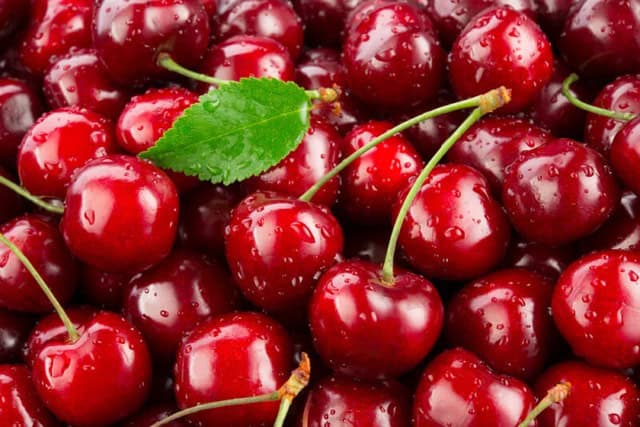 close up photo of cherry