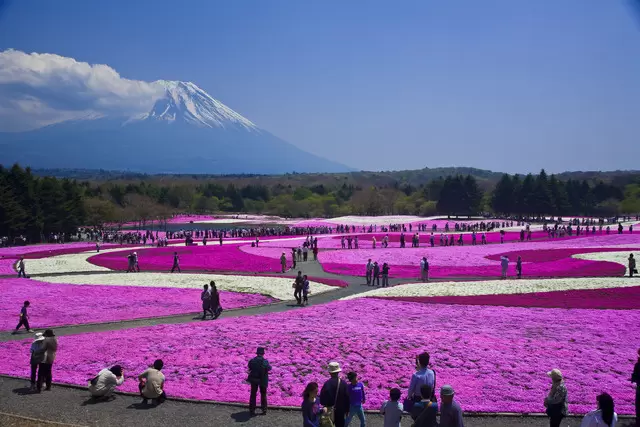 people near the Fuji Mt.