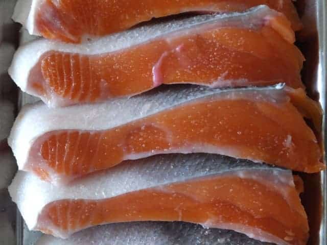 Salmon