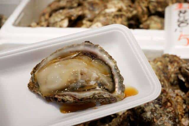 shore oysters