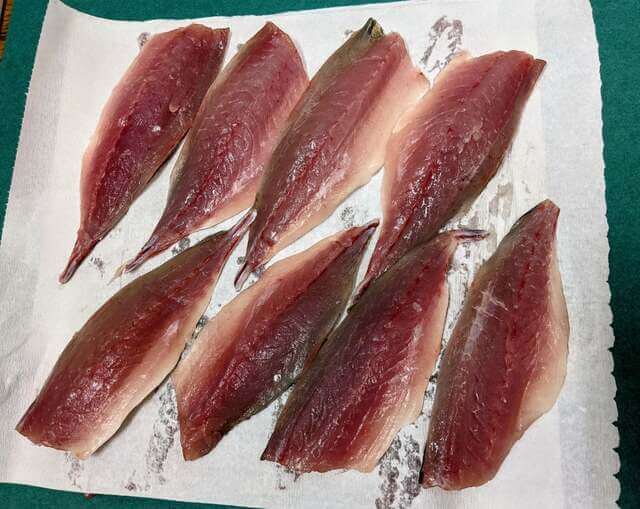 cut kogane aji