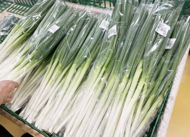 fukaya negi in plastic