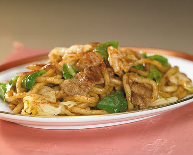 udon noodles