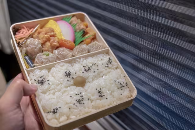 Shiumai Bento on the train
