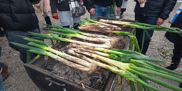 harvested green onion