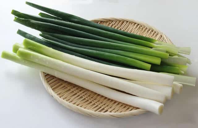 cut fukaya negi