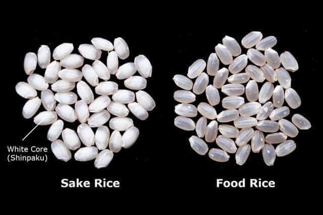 sake rice vs food rice