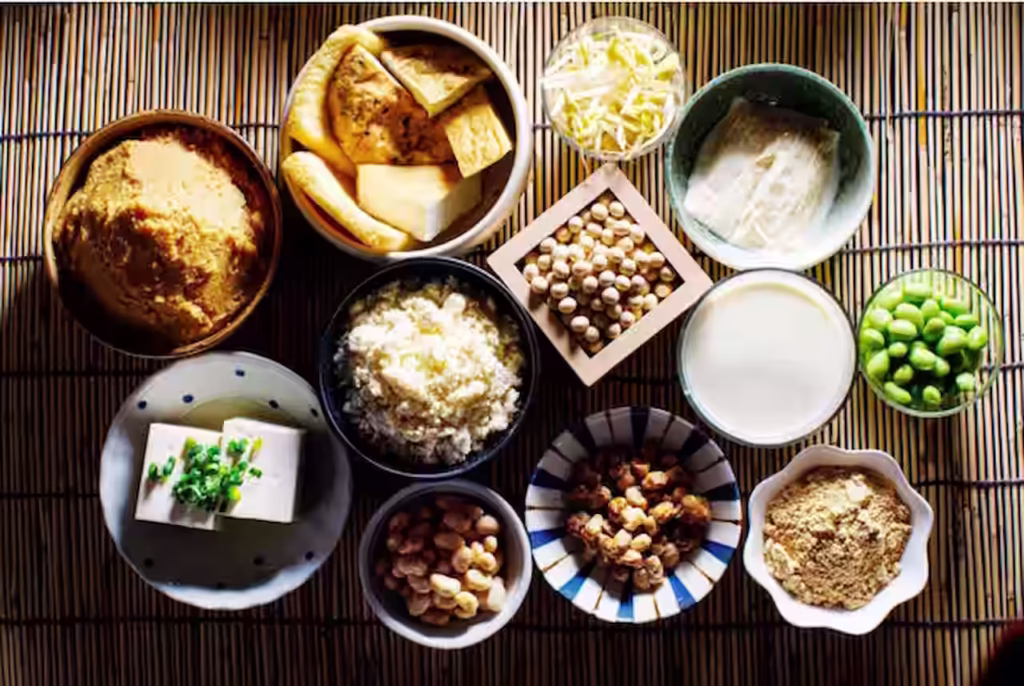 Japanese Fermented Foods