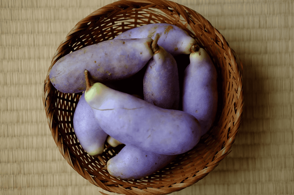 Japanese Eggplant