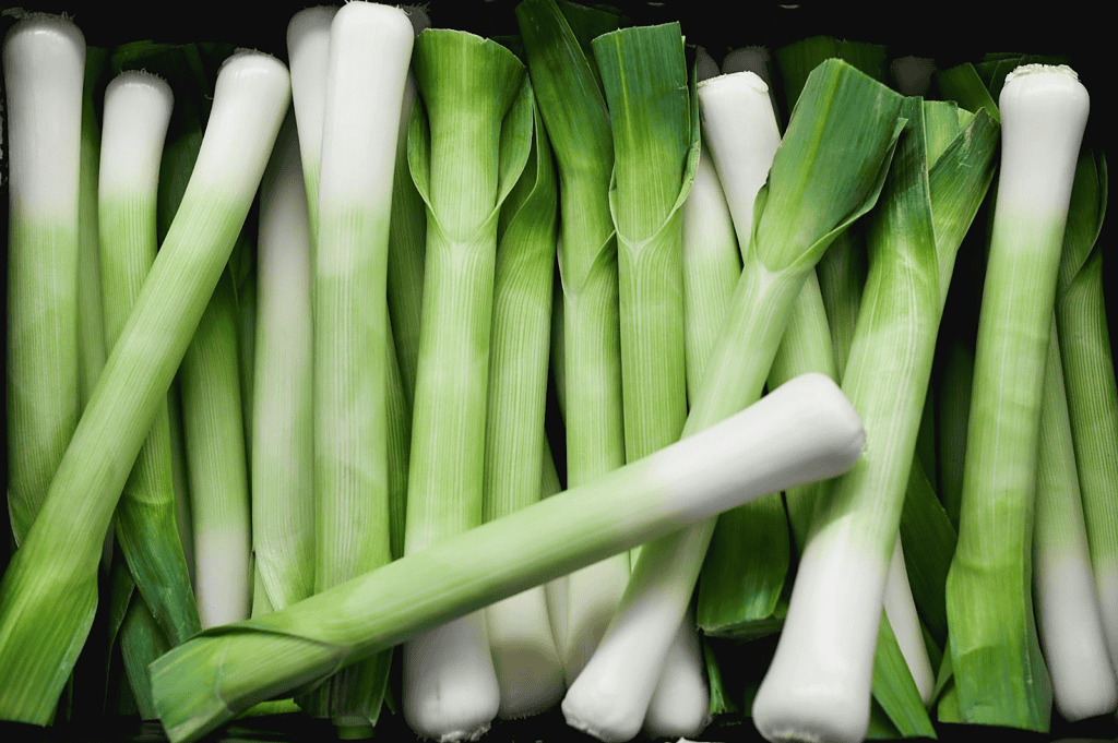 Japanese Leek