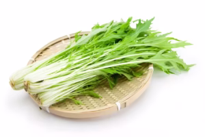 Kyona (京菜) 