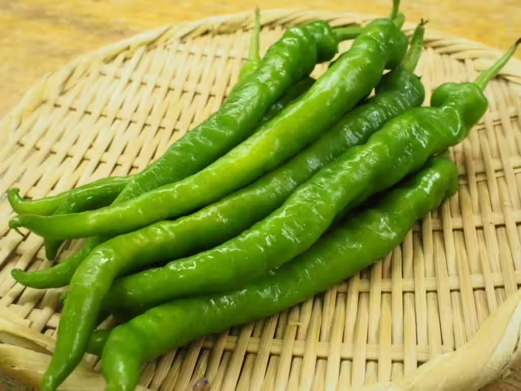 Fushimi Togarashi (伏見とうがらし)