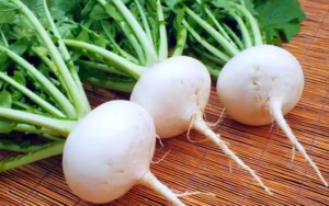 Shogoin kabu (聖護院かぶ)