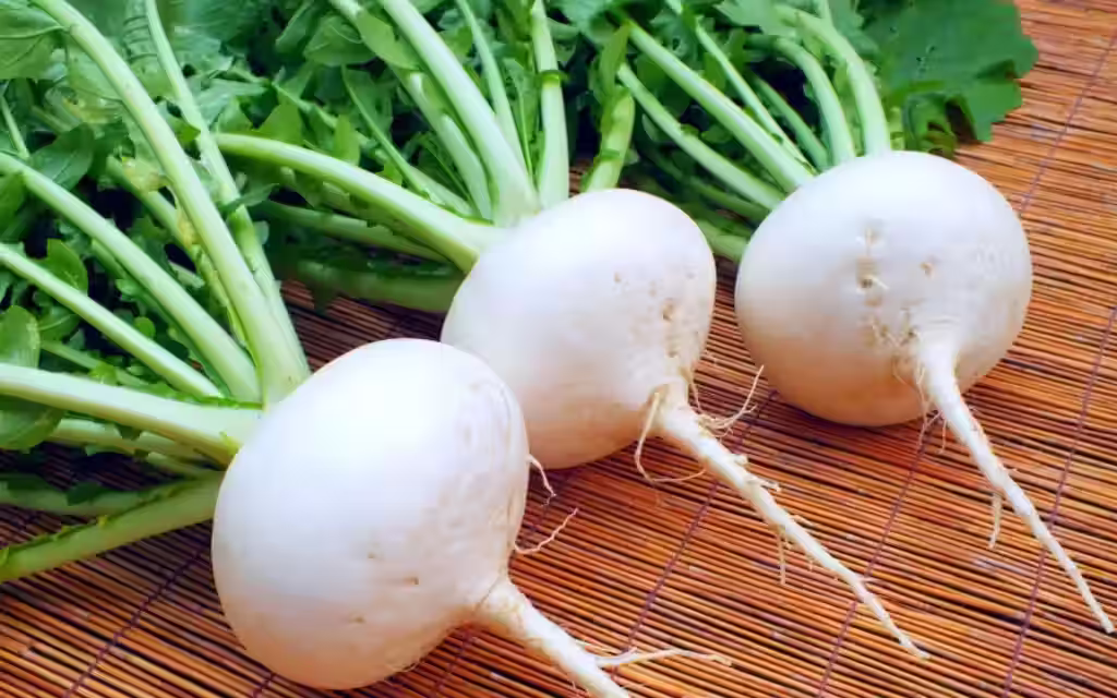 Shogoin kabu (聖護院かぶ)