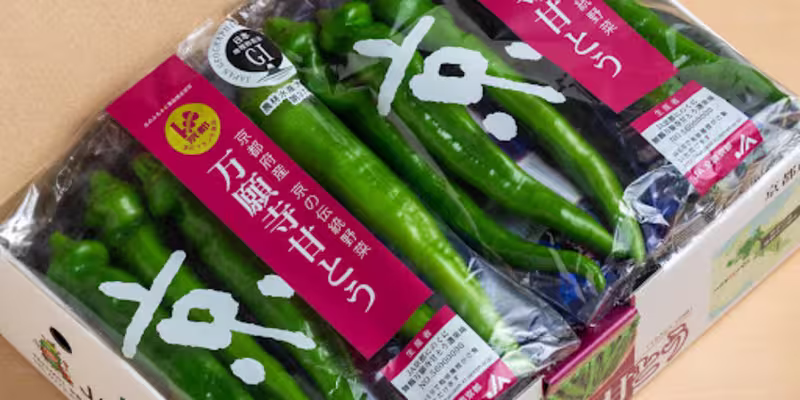 Manganji pepper