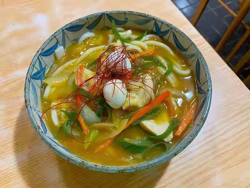 Toyohashi curry udon on ceramic bowl