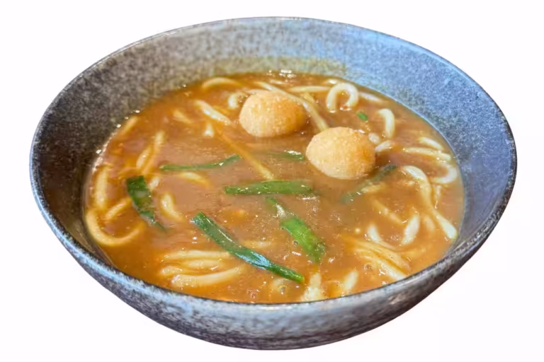 Toyohashi curry udon