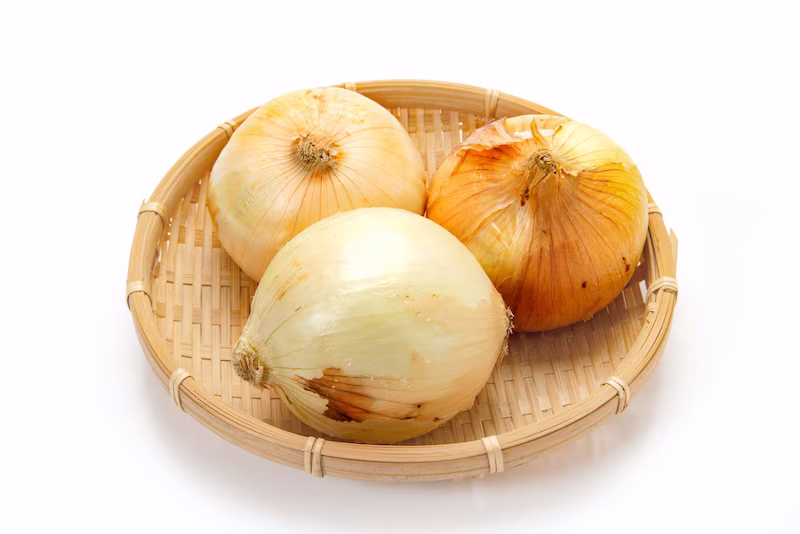 Shin onion
