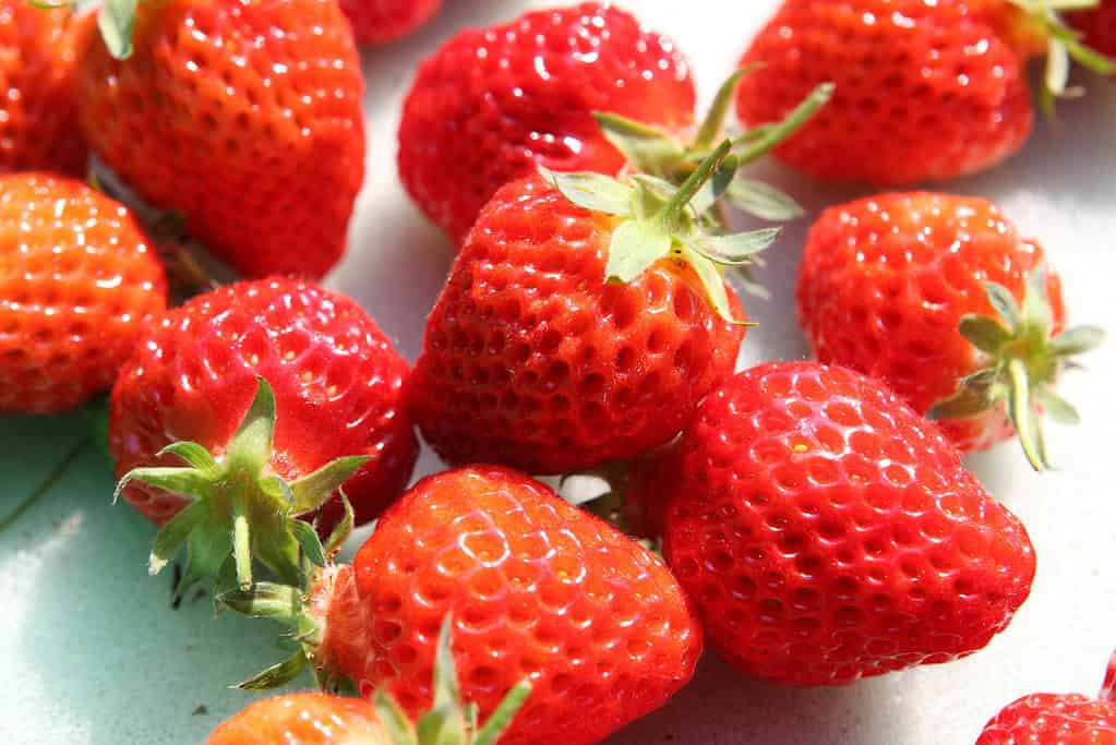 Echigo Hime strawberries, a popular Japanese fruit, known for their sweetness and vibrant red color.