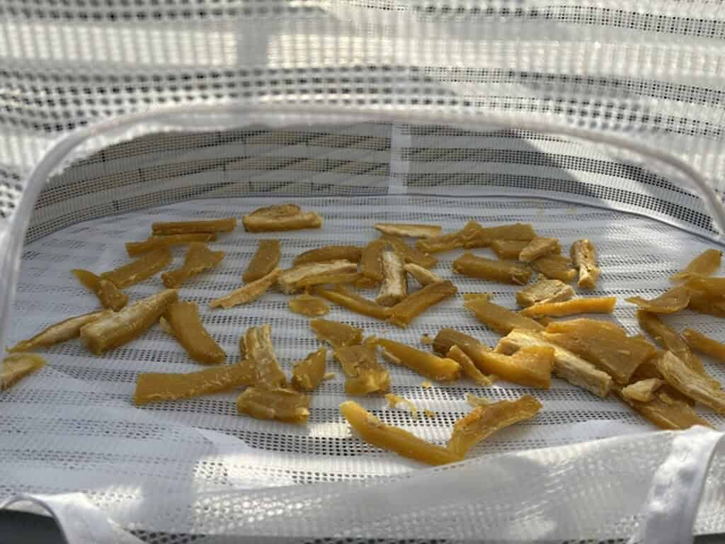 Dried sweet potato slices (Hoshiimo) drying in a mesh tray in Japan.