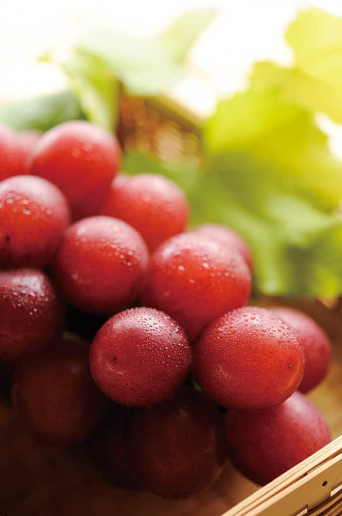 Premium Ruby Roman grapes from Japan, known for their sweetness and large size.