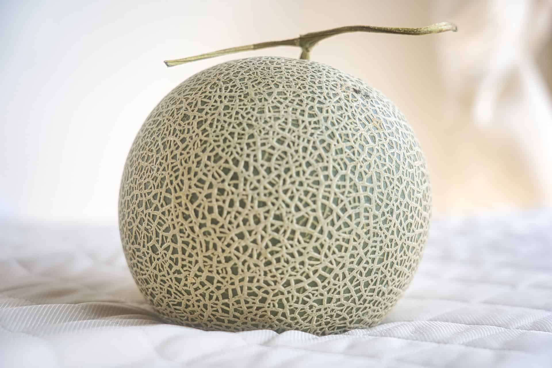 Elegant Crown Melon, a premium Japanese fruit known for its sweetness and smooth texture.