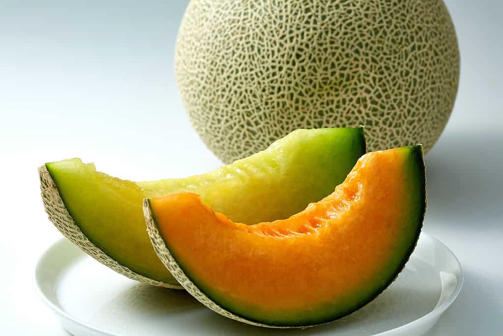Fresh Quincy melon, a popular Japanese fruit known for its sweetness and juicy texture.