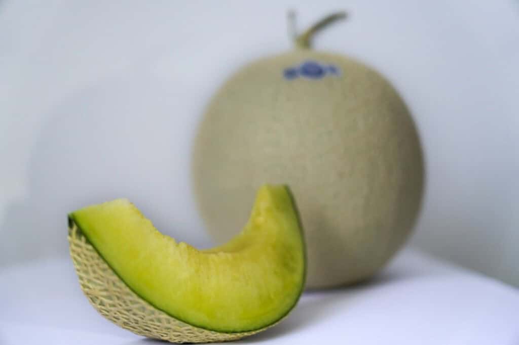 Elegant Crown Melon with a fresh melon slice for dessert in Japan.