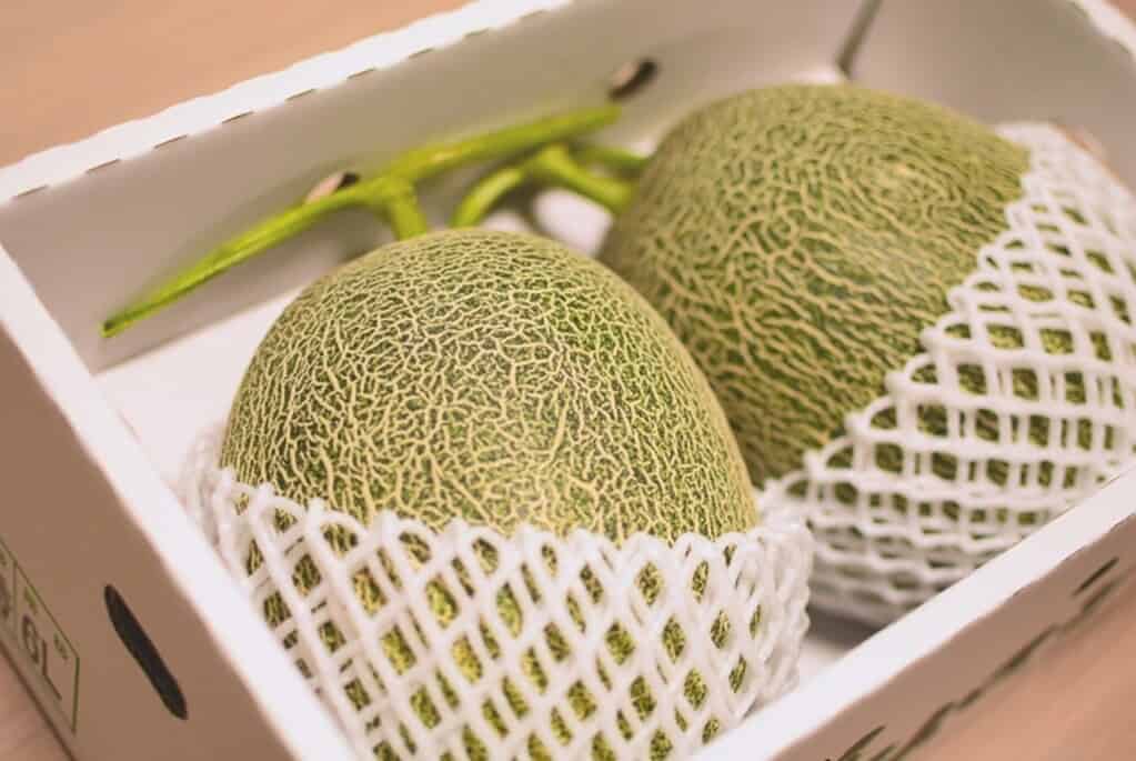 Premium Crown Melon for Japanese fruit lovers.