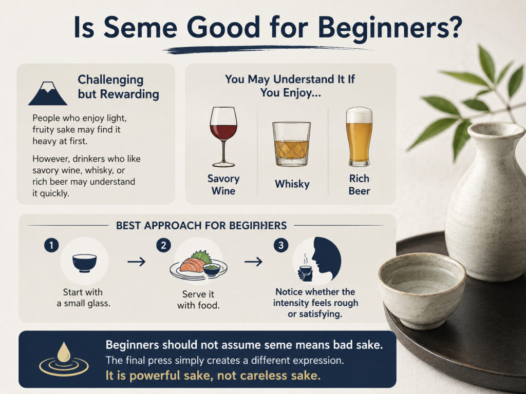 Is Seme Good for Beginners?