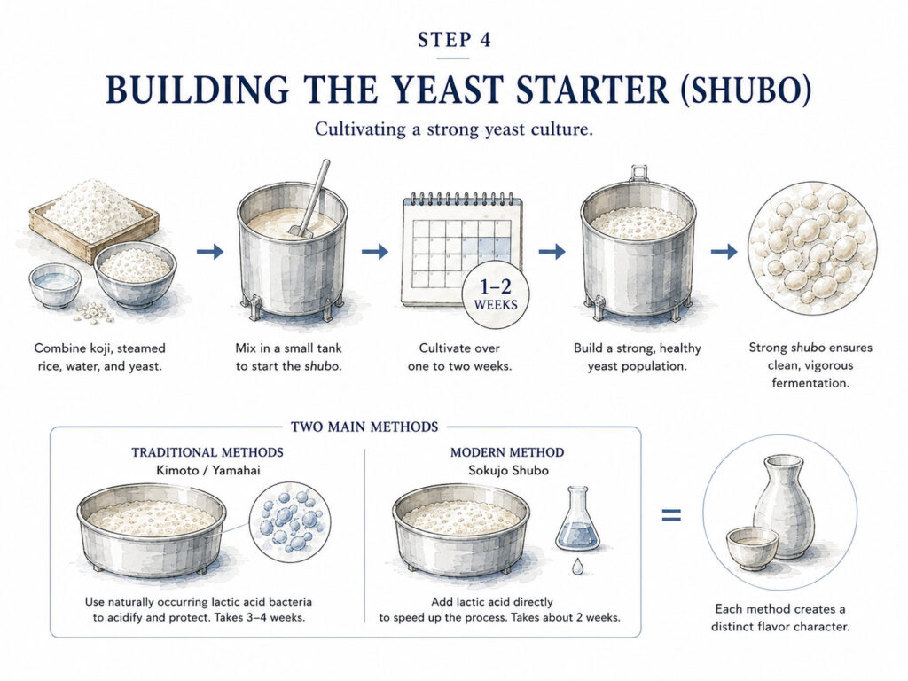 Building the Yeast Starter (Shubo)