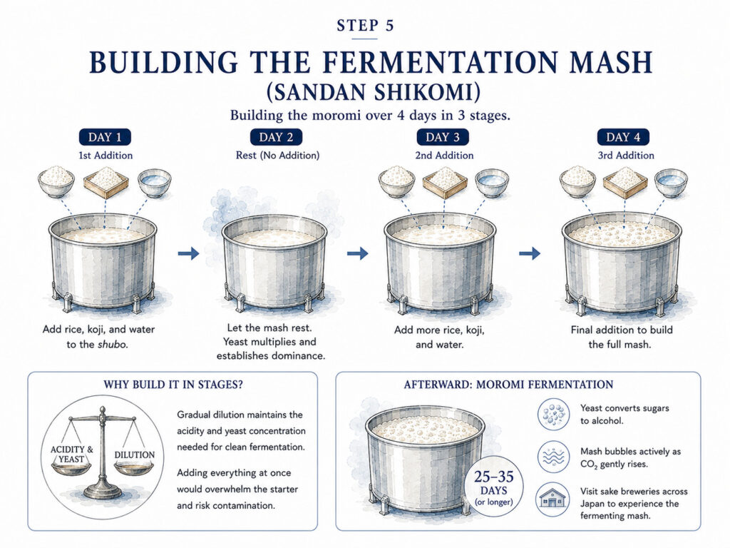 Building the Fermentation Mash (Sandan Shikomi)