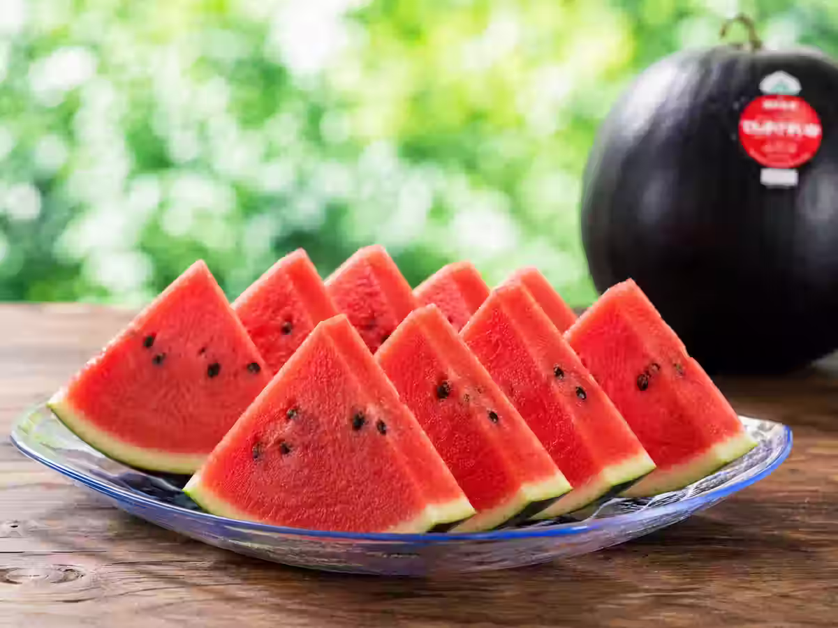 densuke water melon