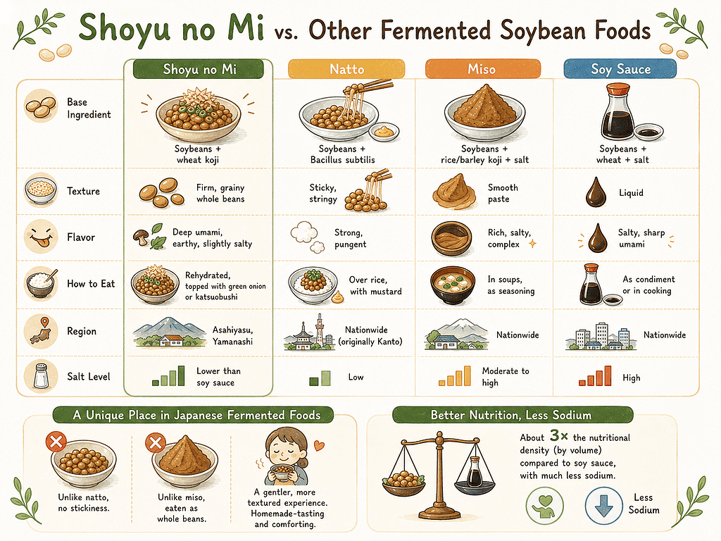 Shoyu no Mi vs. Other Fermented Soybean Foods