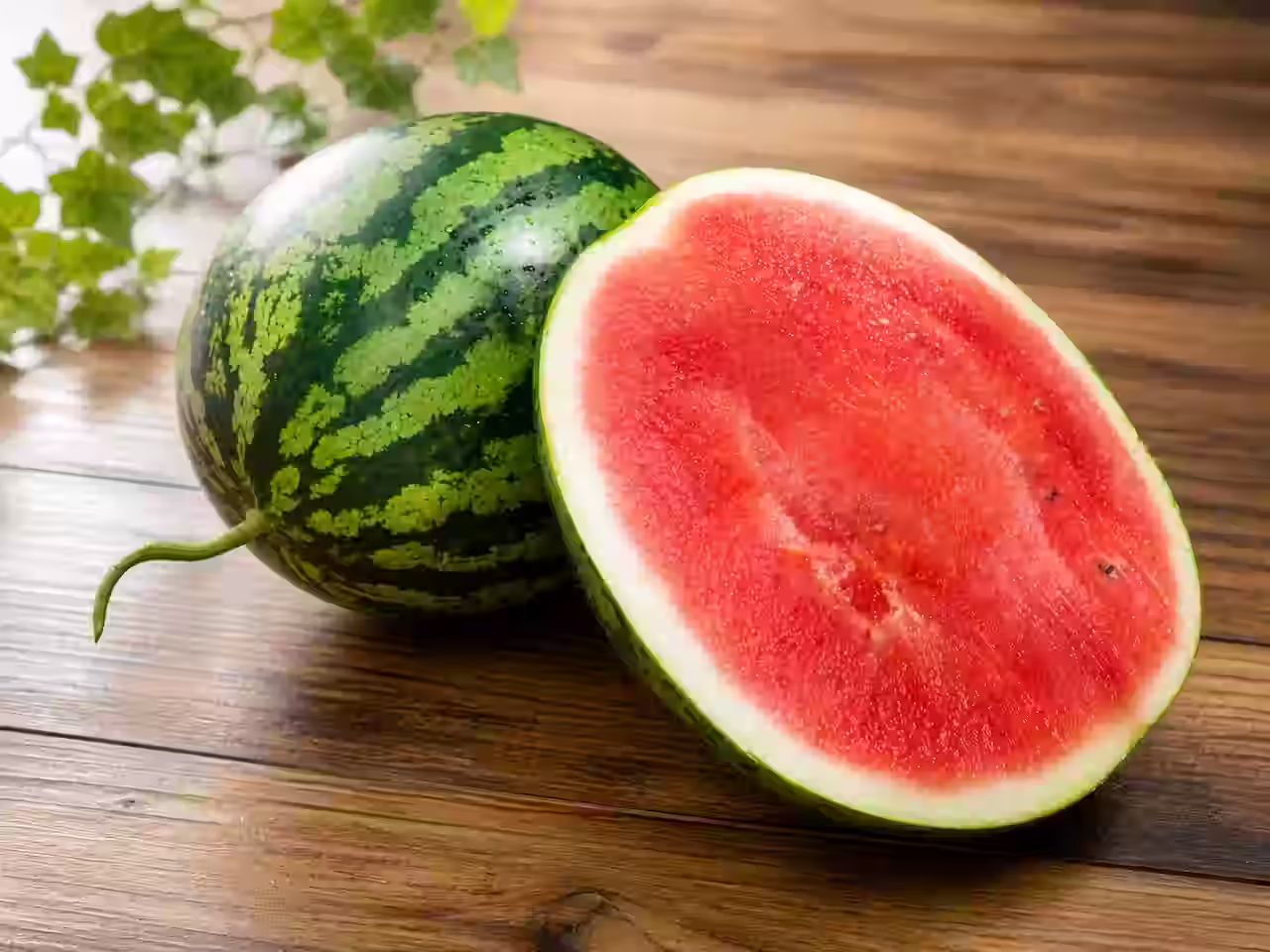 matsubayashi water melon